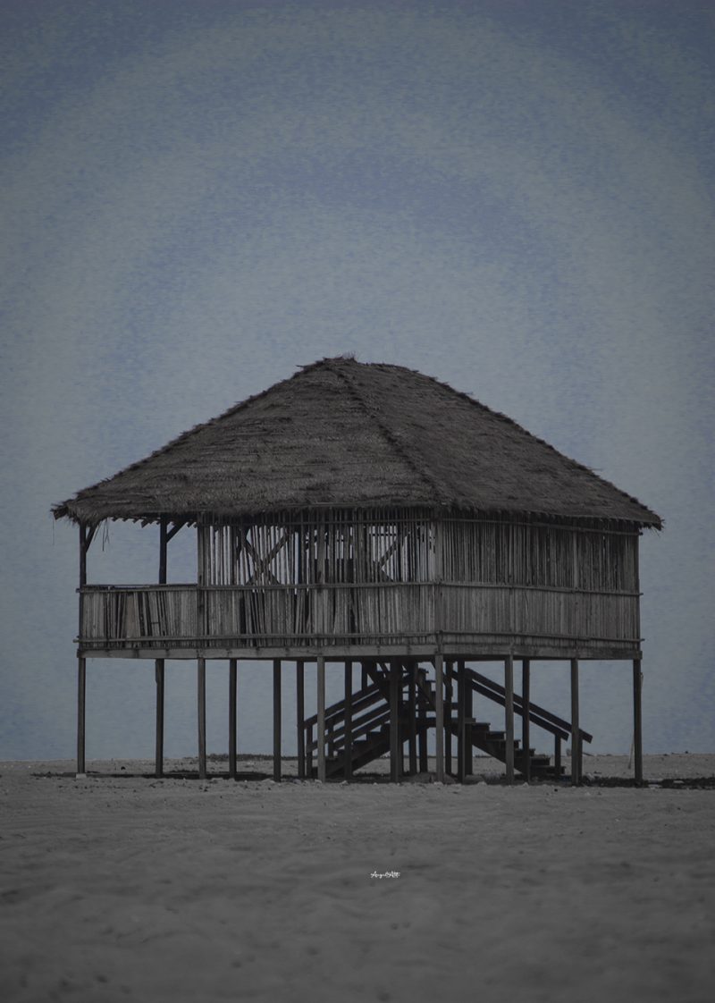 An Art Print of a wooden beach house